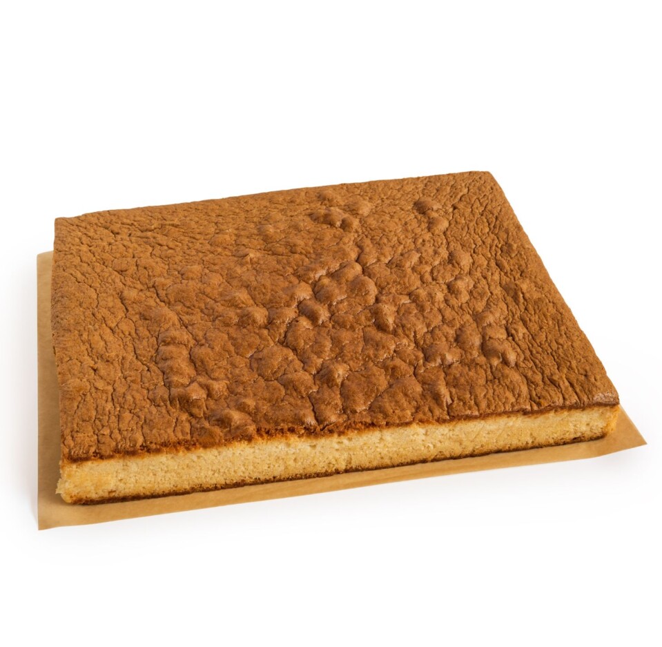 Plancha 1.8kg Bizcocho Original Sin Gluten Sin - Imagen 3