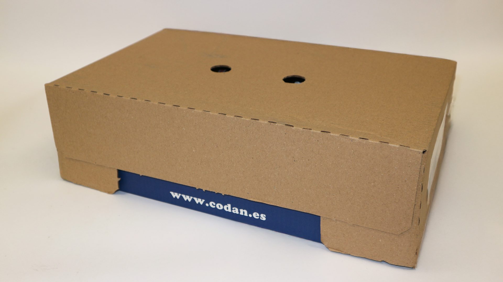 Bizcocho Chocolate 1x1 2.015kg CODAN - Imagen 3