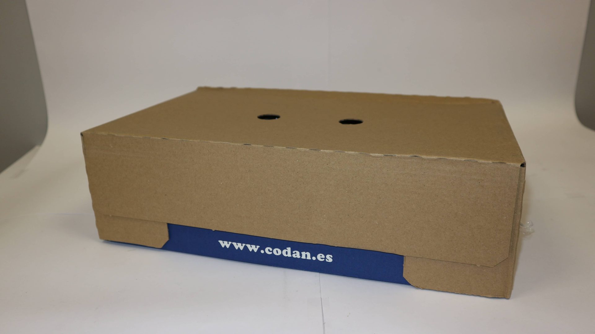 Bizcocho Chocolate 1x1 2.015kg CODAN - Imagen 4