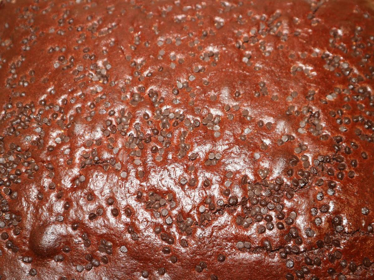 Detalle de la superficie del bizcocho de chocolate Gerbolés cubierta de pepitas de chocolate