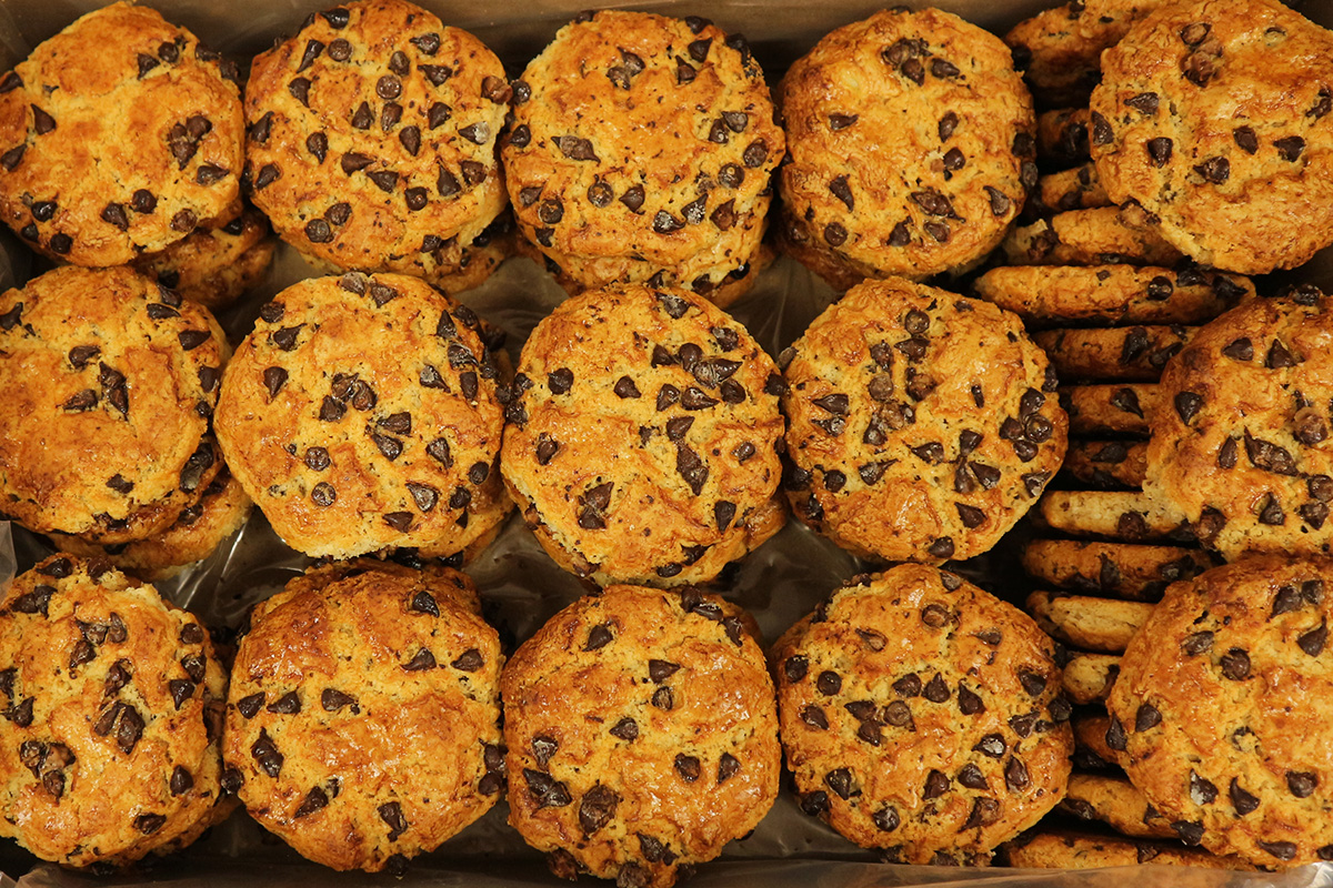 Chokis Monteturia Granel 2kg, galletas de Monte Turia