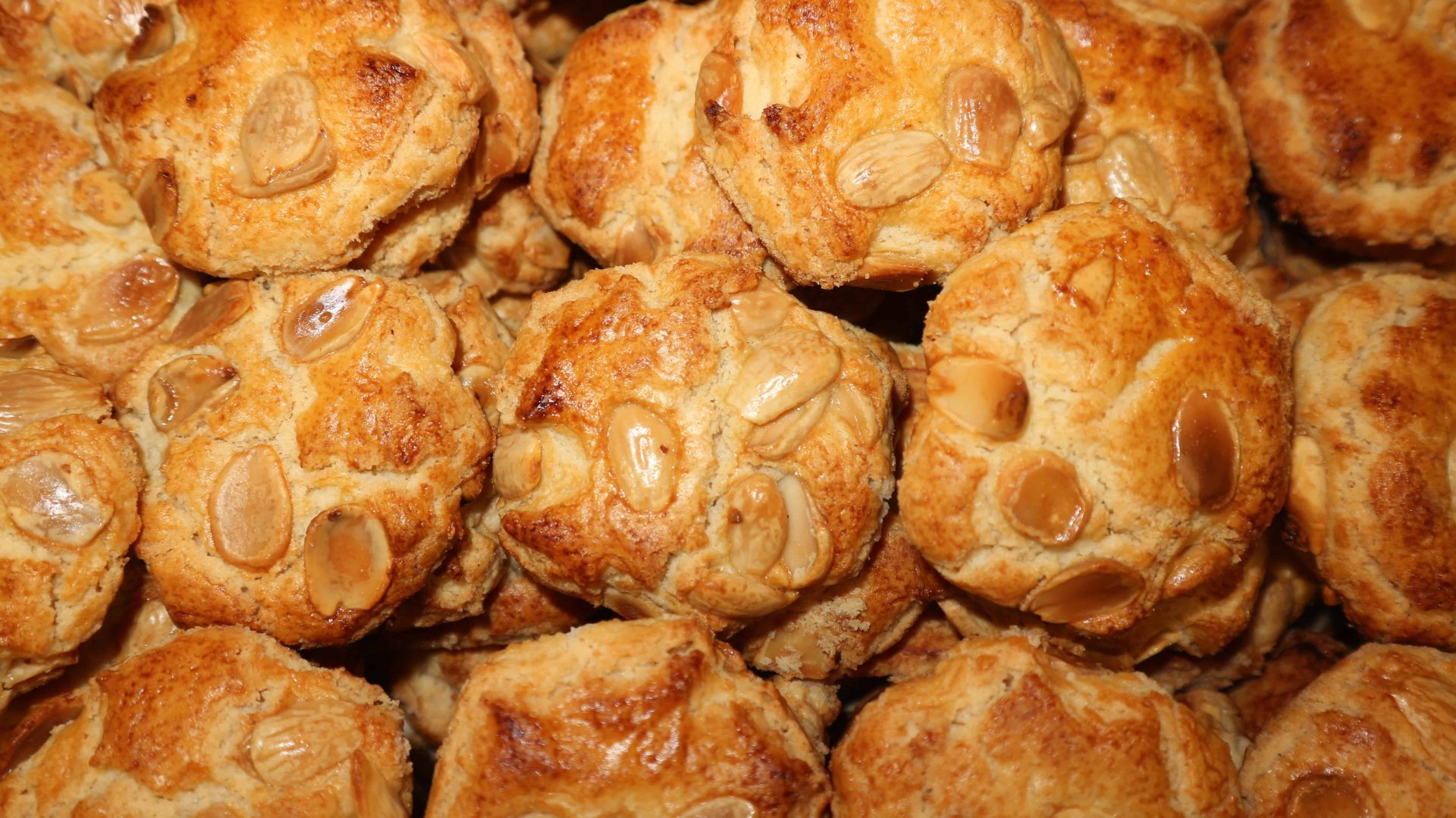 Delicia Monteturia Granel 2kg, galletas de Monte Turia