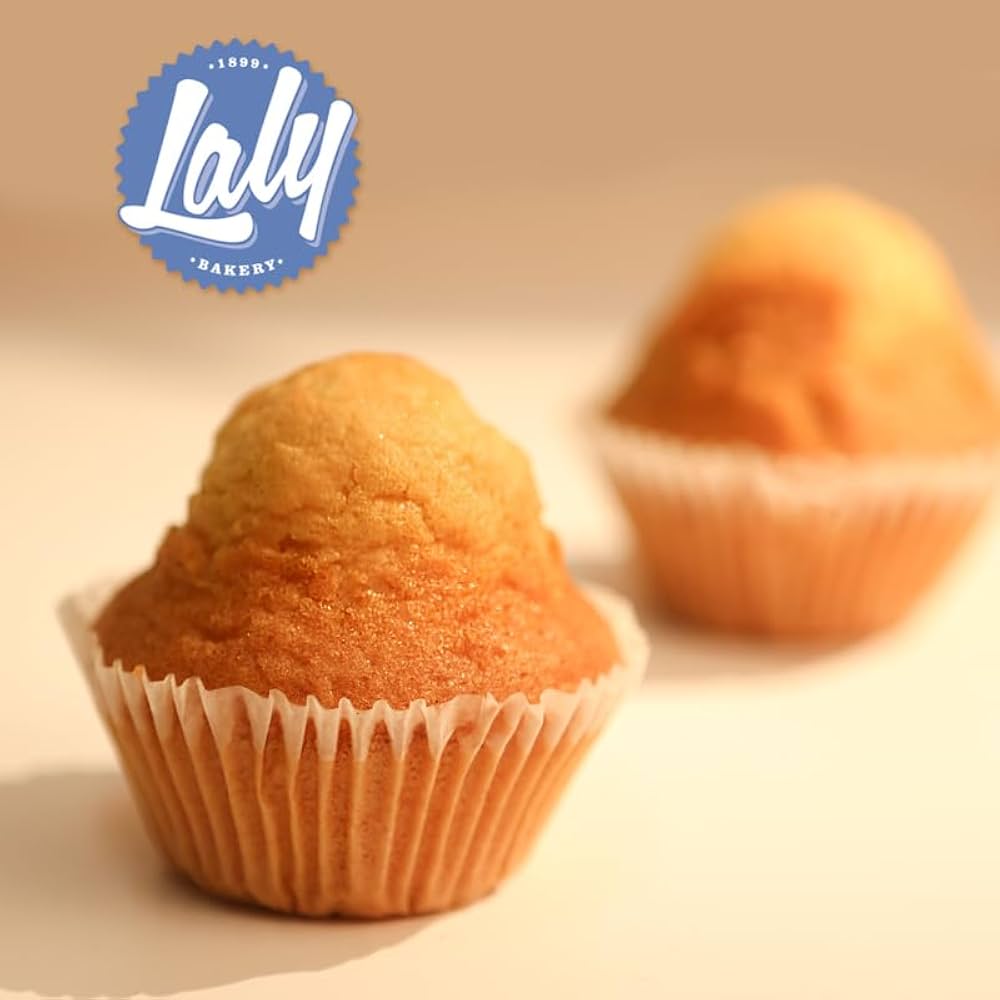 Magdalena Casera 1x1 Laly 1.8kg Caja
