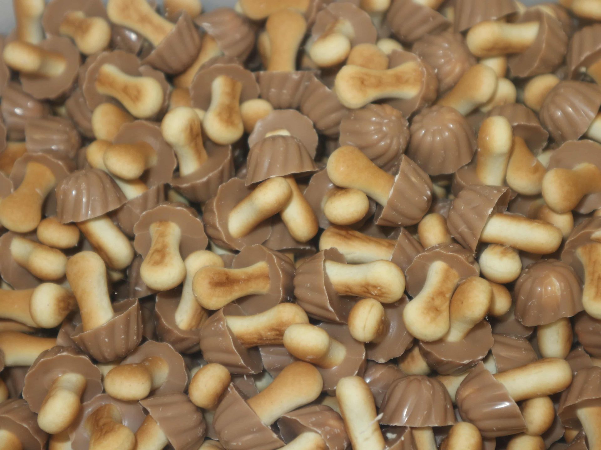 Setas de chocolate con leche Eurochoc, bombón cremoso con forma divertida