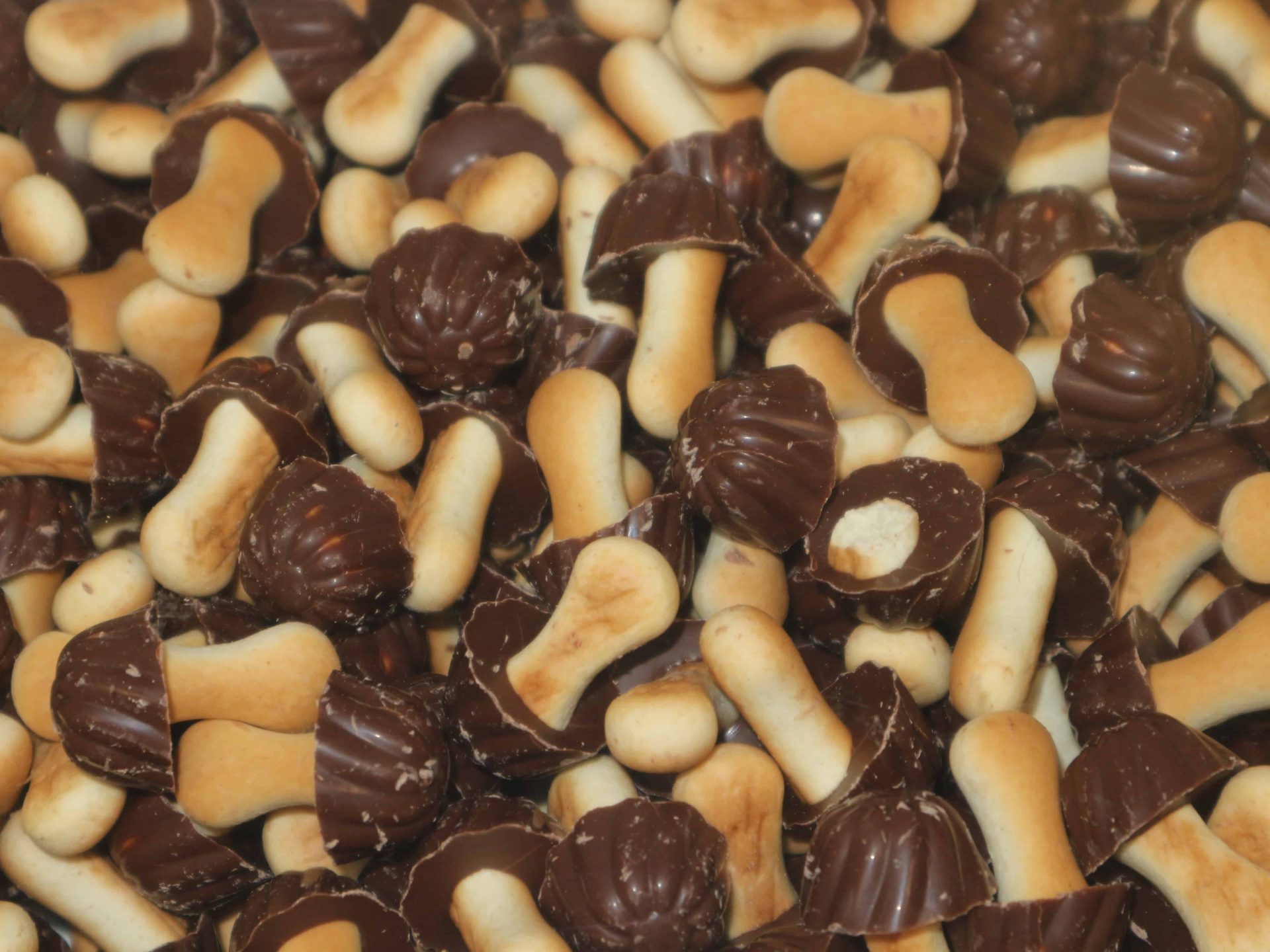 Setas de chocolate negro Eurochoc, intensas y con divertida forma de champiñón