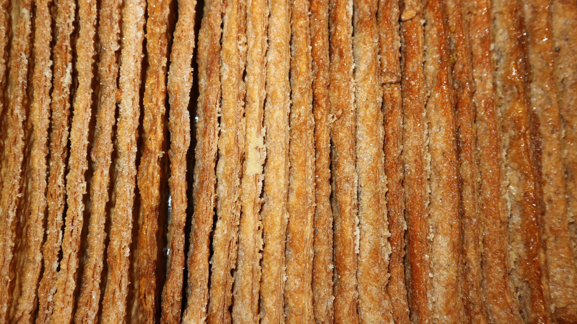 Coca Vidre TRIBO 1.20kg