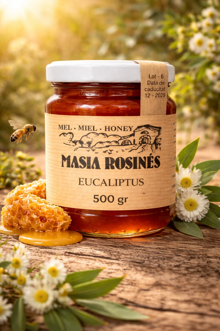 Tarro de Miel de Eucalipto Masiá Rosinés de 500 g